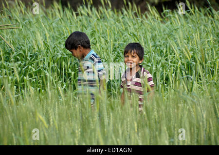 Jungen spielen im Reisfeld, Gujarat, Indien Stockfoto