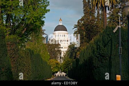 CA02607-00... Kalifornien - California State Capitol building in Sacramento. Stockfoto