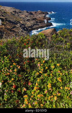 Küste entlang dem nördlichen Ende des Maui, Hawaii. Stockfoto