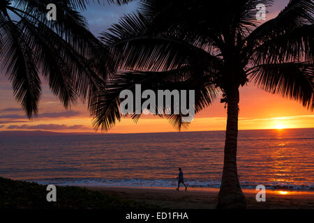 Sonnenuntergang am Mai Poina ' Oe La'u Beach Park, Maui, Hawaii Stockfoto