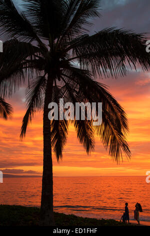 Sonnenuntergang am Mai Poina ' Oe La'u Beach Park, Maui, Hawaii Stockfoto