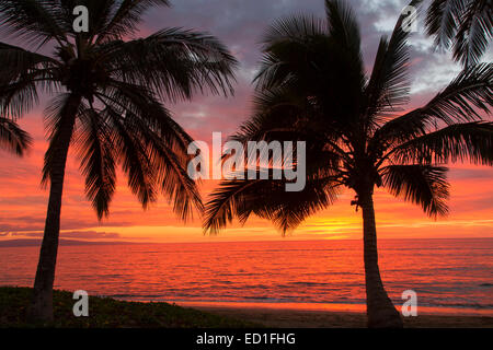 Sonnenuntergang am Mai Poina ' Oe La'u Beach Park, Maui, Hawaii Stockfoto