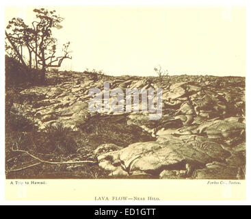 Eine Illustration von Stoddard aus dem Jahr 1892, die einen Lavastrom in der Nähe von Hilo, Hawaii, darstellt. Das Bild zeigt die dramatische Landschaft, die durch vulkanische Aktivität verändert wurde, ein häufiges Merkmal der Geologie Hawaiis. Stockfoto