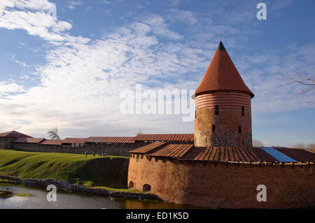 Alte Burg von Kaunas in Litauen Stockfoto