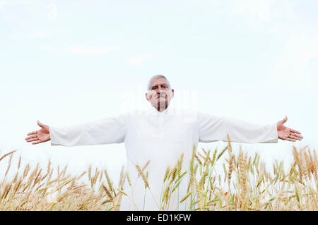 1 indische Greis Bauernhof Ernte Weizen wünschen Stockfoto