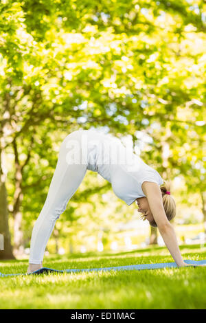 Friedliche Blondine beim Yoga im park Stockfoto
