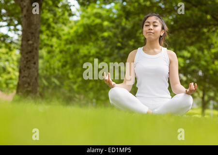 Schöne junge Frau sitzt in Lotus Pose im park Stockfoto