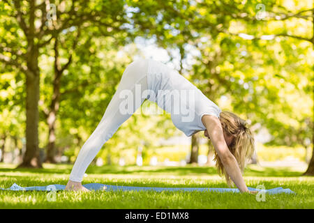 Fit Blondine beim Yoga im park Stockfoto
