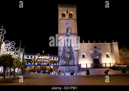 Domplatz mit Weihnachten led Licht Baum, Badajoz, Spanien Stockfoto