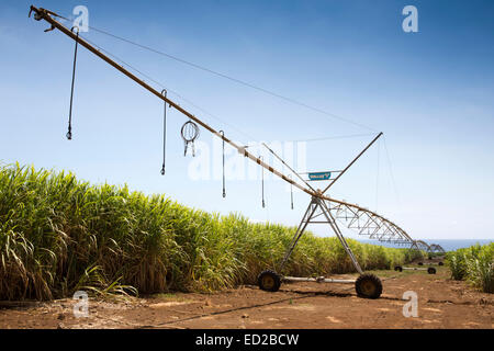 Mauritius, Albion, Landwirtschaft, Tal lineare Ernte Bewässerung Maschine in Zuckerrohr-Felder Stockfoto