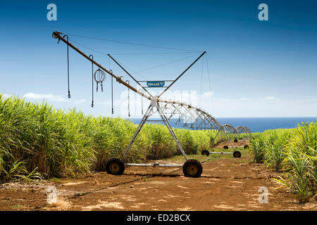 Mauritius, Albion, Landwirtschaft, Tal lineare Ernte Bewässerung Maschine in Zuckerrohr-Felder Stockfoto