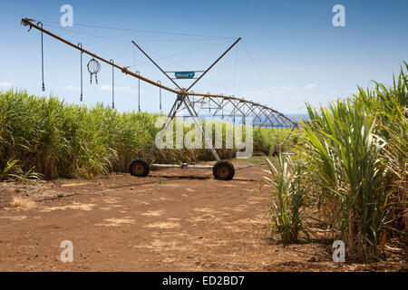 Mauritius, Albion, Landwirtschaft, Tal lineare Ernte Bewässerung Maschine in Zuckerrohr-Felder Stockfoto