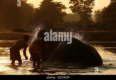 Mahout Elefanten im Kanha National Park Bad verleihen Stockfoto