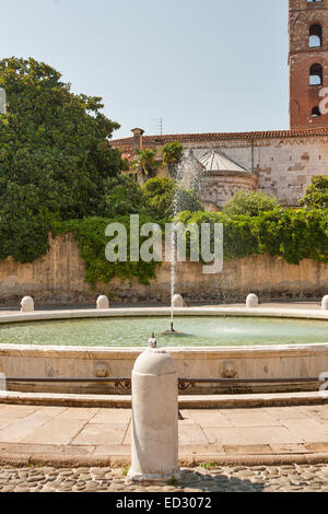 Lucca-Brunnen vor der Kathedrale von San Martin, Italien Stockfoto