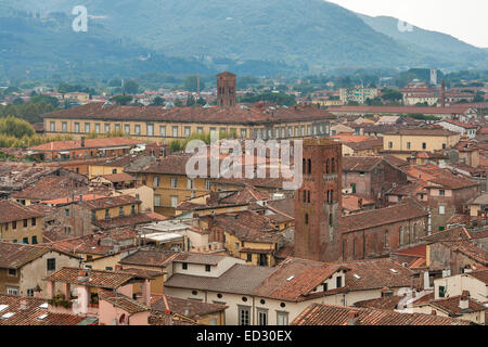 Lucca Stadtbild aus dem Guinigi Turm, Toskana, Italien Stockfoto