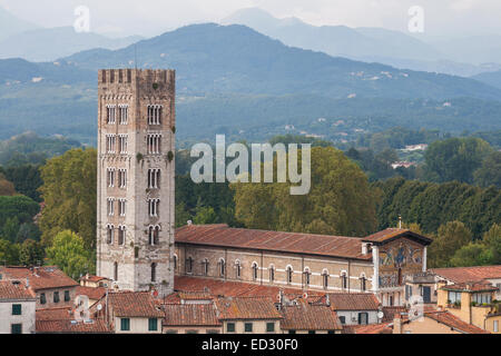 Der Kirchturm von San Frediano in Lucca, Toskana, Italien. Stockfoto