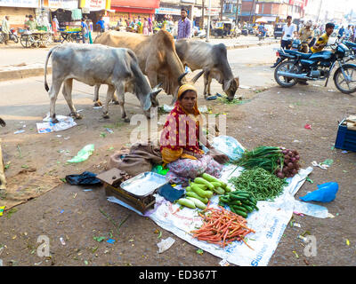 Frau an der Straße Bhuji Gujarat Verkauf von Gemüse Stockfoto