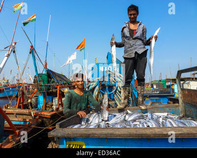 frischer Fisch in Motorrickshaw in Somnath Gujarat Indien Stockfoto