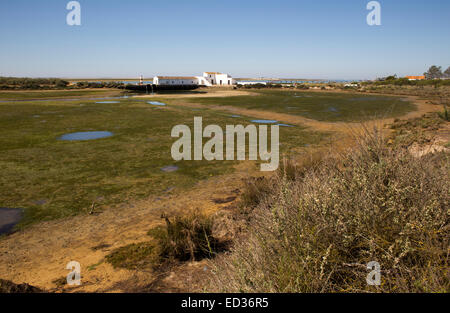 Die alten Salinen bei Ebbe, Quinta de Marim, Bestandteil der Naturpark Ria Formosa, in der Nähe von Faro, Algarve, Portugal. Stockfoto