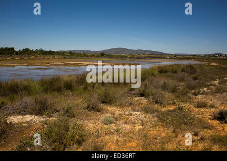 Alten Salinen, jetzt in der Natur zu reservieren, in der Nähe von Castro Marim, Algarve, Portugal. Stockfoto