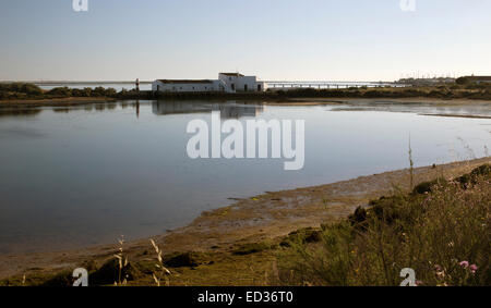 Die alten Salinen im Quinta de Marim, Bestandteil der Naturpark Ria Formosa, in der Nähe von Faro, Algarve, Portugal. Stockfoto