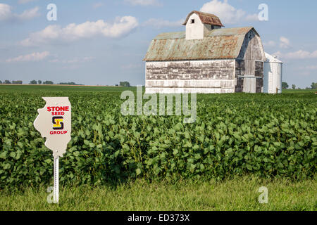 Illinois Tuscola, Ernte, Scheune, Land, Landwirtschaft, Landwirtschaft, Bauernhof, Mähdrescher, Sojabohnen, Samenmarkierung, Schild, IL140904096 Stockfoto