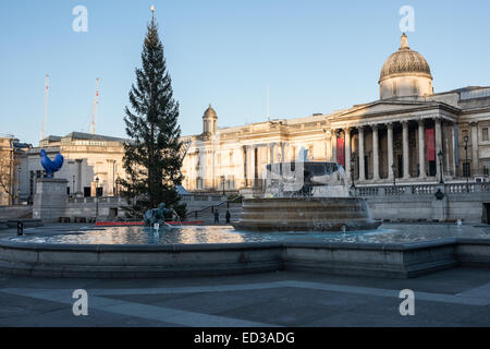 London, UK. 25. Dezember 2014. Trafalgar Square in London am frühen Weihnachtsmorgen. Bildnachweis: Piero Cruciatti/Alamy Live-Nachrichten Stockfoto