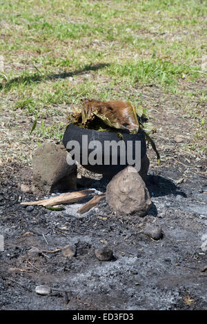 Melanesien, Papua Neu Guinea, Dobutamin Insel. Typische Keramik Topf über offenem Feuer kochen Fisch und Gemüse. Stockfoto