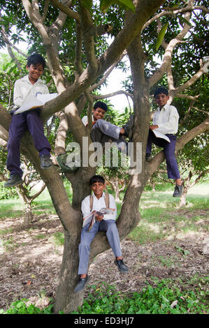 indische ländlichen Kinder Schülerinnen und Schüler sitzen Tree Trunk Studie Stockfoto