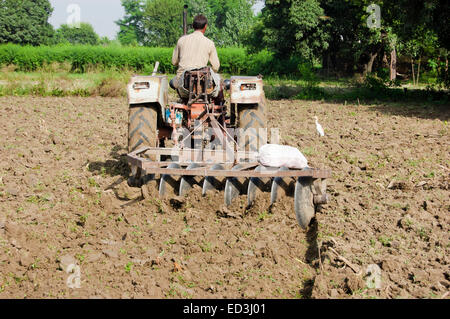 1 ländlichen Bauern Mann Landwirtschaft Traktor Stockfoto