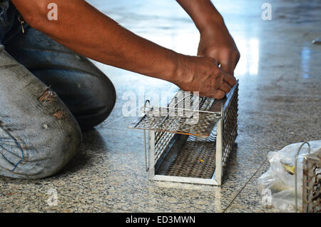Alter Mann Makrele Fisch für eine Rattenfalle Käfig mit Brot als Köder verwenden. Thai-Stil Stockfoto