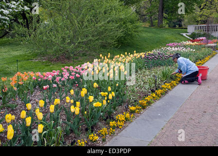 Jährliche Grenze im Brooklyn Botanic Garden in New York Stockfoto