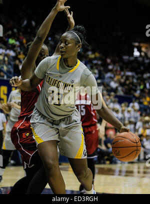 Berkeley CA. 21. Dezember 2015. California G # 33 Gabby Green zwingen ihren Weg auf die Reifen und der Gäste während der NCAA Frauen Basketball-Spiel zwischen Louisville Cardinals und California Golden Bears 57-70 im Hass Pavillon Berkeley Kalifornien verlor © Csm/Alamy Live-Nachrichten Stockfoto