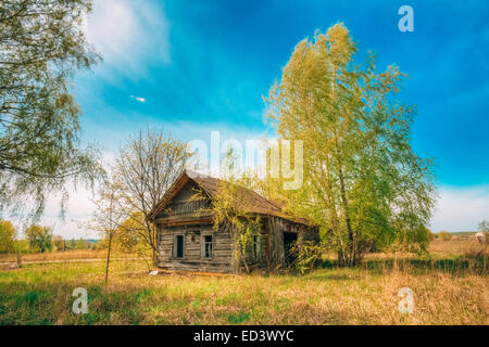 Verlassenes Haus In weißrussischen Dorf. Tschernobyl-Katastrophen. Diese verlassene Häuser und ganze Dörfer müssen entsorgt werden Stockfoto