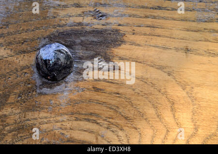Grunge alte Kirsche Parkett Textur (Holz, Textur, Hintergrund) Oberfläche, Textur, Zweig, Vintage, Tapeten, Stockfoto