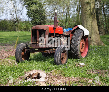Alte rostige Traktor in einem englischen Waldlichtung im Frühjahr Stockfoto