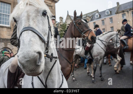 Chipping Norton, Oxfordshire. VEREINIGTES KÖNIGREICH. 26. Dezember 2014. Mitglieder der Heythrop Hunt sammeln für die jährliche Boxing Day Jagd in Chipping Norton, Oxfordshire. Rund tausend Menschen stellte sich heraus, dass es sich um die Heythrop Hunt für ihre jährliche Boxing Day Jagd Ausreiten zu sehen. Dieses große Treffen begann mit die Fahrern Treffpunkt vor The Fox Hotel.Donations wurden gesammelt von den Massen zu finanzieren, den anhaltenden Kampf um das Jagdverbot aufgehoben haben. Bildnachweis: Desmond Brambley/Alamy Live-Nachrichten Stockfoto