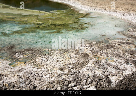 Blaualgen auf einem ausgetrockneten See Bett in Tehachapi, verursacht durch die anhaltende katastrophale Dürre in Kalifornien, USA. Stockfoto