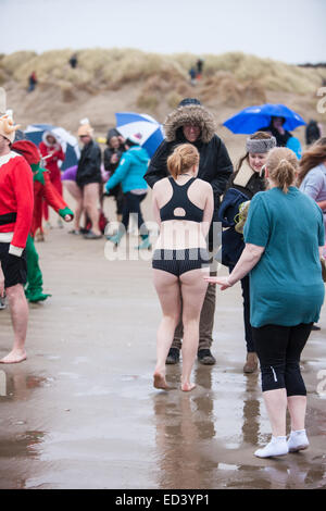 Carmarthenshire, Wales, UK. 26 Dez, 2014. Pembrey Sands, Cefn Sid, Carmarthenshire, Wales, UK. Pembrey Sands Boxing Day Walross Dip. Ein sehr kalt, windig und mit starkem Regen, Regen, Tag, für den 30. Jahrestag des Walross Dip. Mutige Schwimmer ertragen die Elemente in verschiedenen Kostüme für ein kurzes Bad im eiskalten Wasser angezogen. Credit: Paul Quayle/Alamy leben Nachrichten Stockfoto