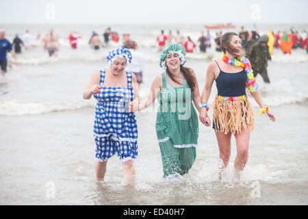 Carmarthenshire, Wales, UK. 26. Dezember 2014. In Pembrey Sands, Cefn Sidan, auf einem sehr kalten, windigen und mit starkem Regen zum 30. Geburtstag der Walross-Dip. Mutige Schwimmer ertragen die Elemente in verschiedenen Fancy Dress Kostüme für einen kurzen Sprung in den eiskalten Gewässern gekleidet. Carmarthenshire, Wales, UK. Bildnachweis: Paul Quayle/Alamy Live-Nachrichten Stockfoto