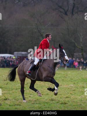 Rivington, Horwich in der Nähe von Bolton, Lancashire.  26. Dezember 2014: Rivington, wo Pferde und Reiter für die jährliche Boxing Day Jagd sammeln. Bildnachweis: Cernan Elias / Alamy Live News Stockfoto