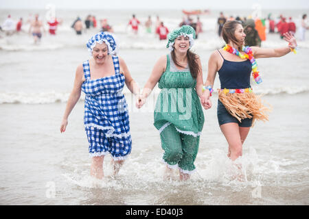 Carmarthenshire, Wales, UK. 26. Dezember 2014. In Pembrey Sands, Cefn Sidan, auf einem sehr kalten, windigen und mit starkem Regen zum 30. Geburtstag der Walross-Dip. Mutige Schwimmer ertragen die Elemente in verschiedenen Fancy Dress Kostüme für einen kurzen Sprung in den eiskalten Gewässern gekleidet. Carmarthenshire, Wales, UK. Bildnachweis: Paul Quayle/Alamy Live-Nachrichten Stockfoto