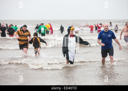 Carmarthenshire, Wales, UK. 26. Dezember 2014. In Pembrey Sands, Cefn Sidan, auf einem sehr kalten, windigen und mit starkem Regen zum 30. Geburtstag der Walross-Dip. Mutige Schwimmer ertragen die Elemente in verschiedenen Fancy Dress Kostüme für einen kurzen Sprung in den eiskalten Gewässern gekleidet. Carmarthenshire, Wales, UK. Bildnachweis: Paul Quayle/Alamy Live-Nachrichten Stockfoto