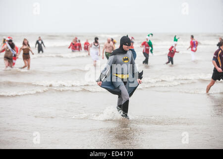 Carmarthenshire, Wales, UK. 26. Dezember 2014. In Pembrey Sands, Cefn Sidan, auf einem sehr kalten, windigen und mit starkem Regen zum 30. Geburtstag der Walross-Dip. Mutige Schwimmer ertragen die Elemente in verschiedenen Fancy Dress Kostüme für einen kurzen Sprung in den eiskalten Gewässern gekleidet. Carmarthenshire, Wales, UK. Bildnachweis: Paul Quayle/Alamy Live-Nachrichten Stockfoto