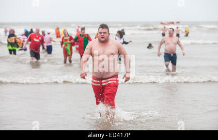 Carmarthenshire, Wales, UK. 26. Dezember 2014. In Pembrey Sands, Cefn Sidan, auf einem sehr kalten, windigen und mit starkem Regen zum 30. Geburtstag der Walross-Dip. Mutige Schwimmer ertragen die Elemente in verschiedenen Fancy Dress Kostüme für einen kurzen Sprung in den eiskalten Gewässern gekleidet. Carmarthenshire, Wales, UK. Bildnachweis: Paul Quayle/Alamy Live-Nachrichten Stockfoto