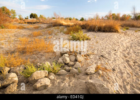 Das ausgetrocknete Flussbett des Flusses Kern aufgrund der laufenden katastrophale Dürre in Kalifornien, USA hinauf. Stockfoto