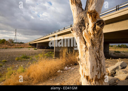 Das ausgetrocknete Flussbett des Flusses Kern aufgrund der laufenden katastrophale Dürre in Kalifornien, USA hinauf. Stockfoto