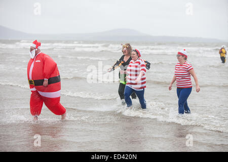 Carmarthenshire, Wales, UK. 26. Dezember 2014. In Pembrey Sands, Cefn Sidan, auf einem sehr kalten, windigen und mit starkem Regen zum 30. Geburtstag der Walross-Dip. Mutige Schwimmer ertragen die Elemente in verschiedenen Fancy Dress Kostüme für einen kurzen Sprung in den eiskalten Gewässern gekleidet. Carmarthenshire, Wales, UK. Bildnachweis: Paul Quayle/Alamy Live-Nachrichten Stockfoto