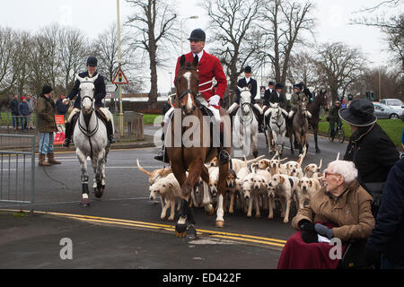 Oakham, UK. 26. Dezember 2014. TheCottesmore Hunde Cutts hautnah in Oakham Rutland, England, für den traditionellen Boxing Day treffen sich dort ankommen. Bildnachweis: Jim Harrison/Alamy Live-Nachrichten Stockfoto