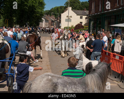 Pferdewagen Drwan angetrieben von Zigeuner, Romanys, "Reisende", am Appleby Horse Fair, statt jedes Jahr im Juni in Appleby, Cumbria, UK Stockfoto